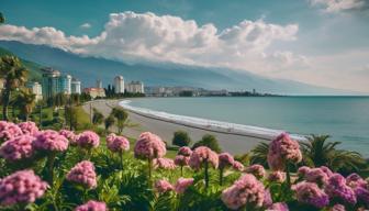 AfD-Abgeordnete intensivieren Russland-Kontakte: Reise nach Sotschi sorgt für Kontroversen im Bundestag AfD-Abgeordnete intensivieren Russland-Kontakte: Reise nach Sotschi sorgt für Kontroversen im Bundestag