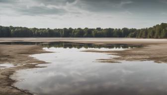 Alarmierender Wassermangel am Straussee in Brandenburg: Lösungsansätze dringend gesucht