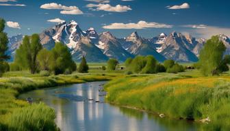 Anleger vor Notenbankertreffen in Jackson Hole vorsichtig: Fed-Zinssenkung erwartet, aber Ungewissheit bleibt