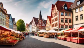 Erwerbstätigkeit von geflüchteten Ukrainern in Deutschland deutlich gestiegen laut BiB-Studie Erwerbstätigkeit von geflüchteten Ukrainern in Deutschland deutlich gestiegen laut BiB-Studie