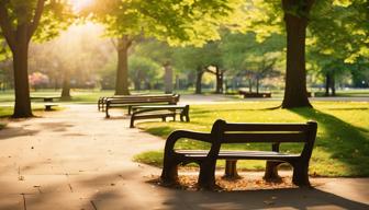 Rückgang im ehrenamtlichen Engagement: Weniger Menschen, aber längere Einsatzzeiten in Deutschland